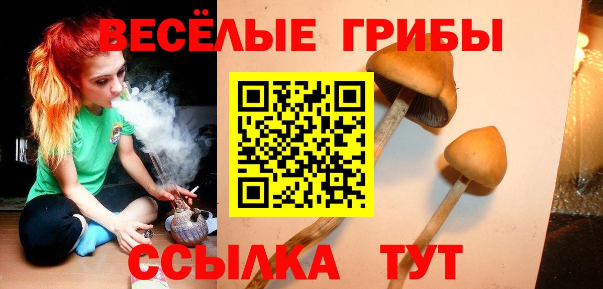 Псилоцибиновые грибы GOLDEN TEACHER Узловая